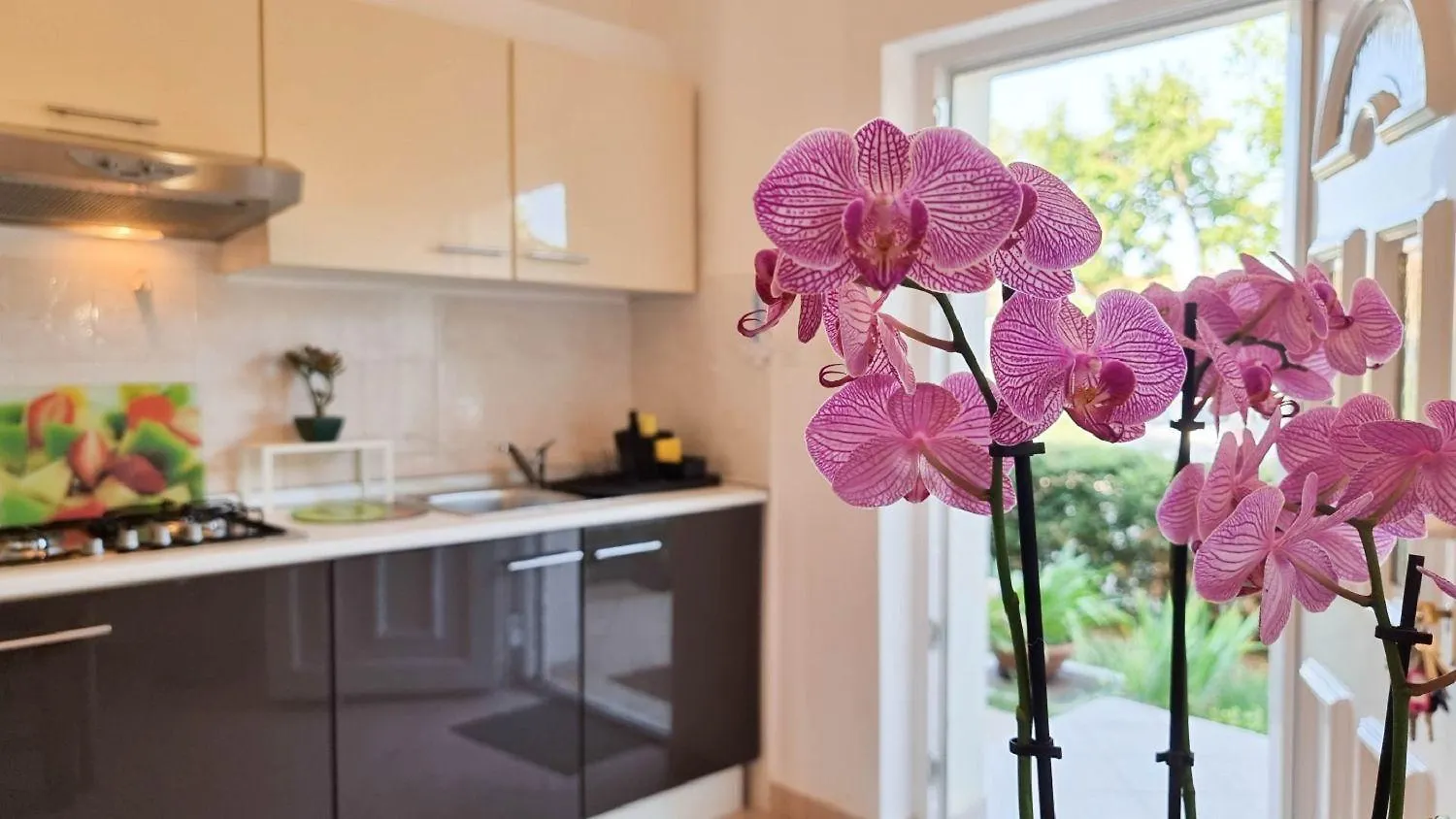 Bezauberndes Apartment Nur 250 Meter Zum Strand Mit Garten, Klima, Waschmaschine Umag